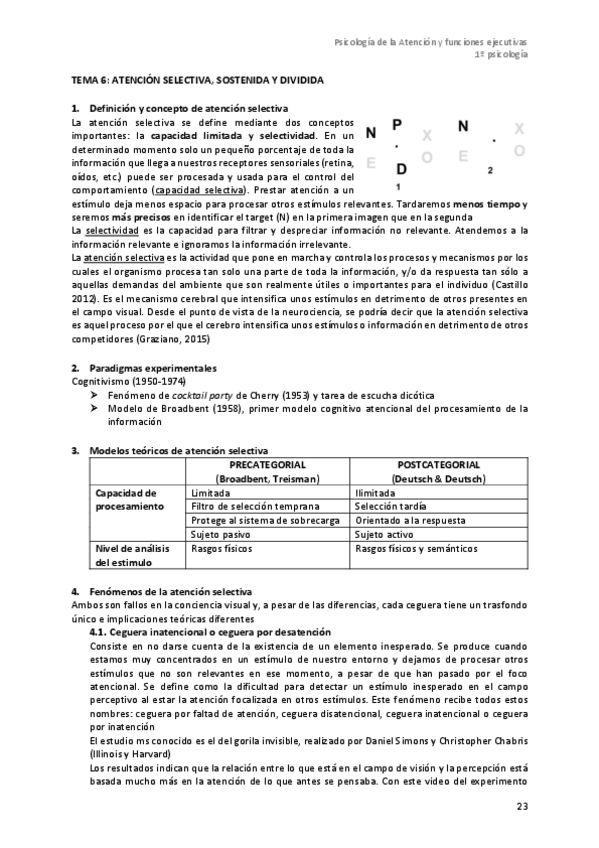 Miniatura del documento Tema-6-atencion-selectiva-sostenida-y-dividida.pdf