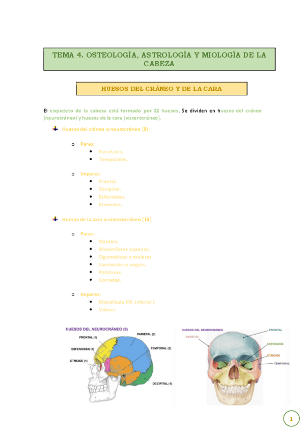 Miniatura del documento TEMA-4.-OSTEOLOGIA-ASTROLOGIA-Y-MIOLOGIA-DE-LA-CABEZA..pdf