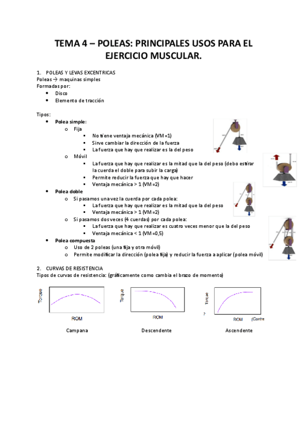 Miniatura del documento TEMA-4 KINESIOLOGÍA.pdf