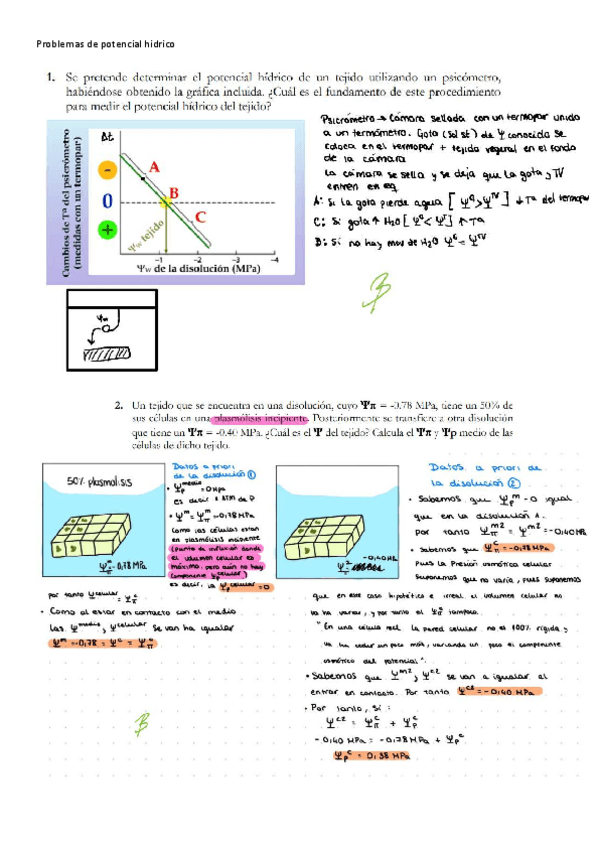Miniatura del documento problemas-de-potencial-hidrico.pdf