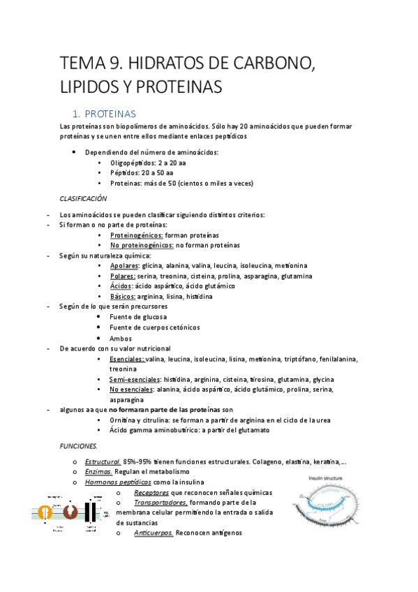 Miniatura del documento TEMA-9.-HC-LIPIDOS-PROTEINAS.pdf