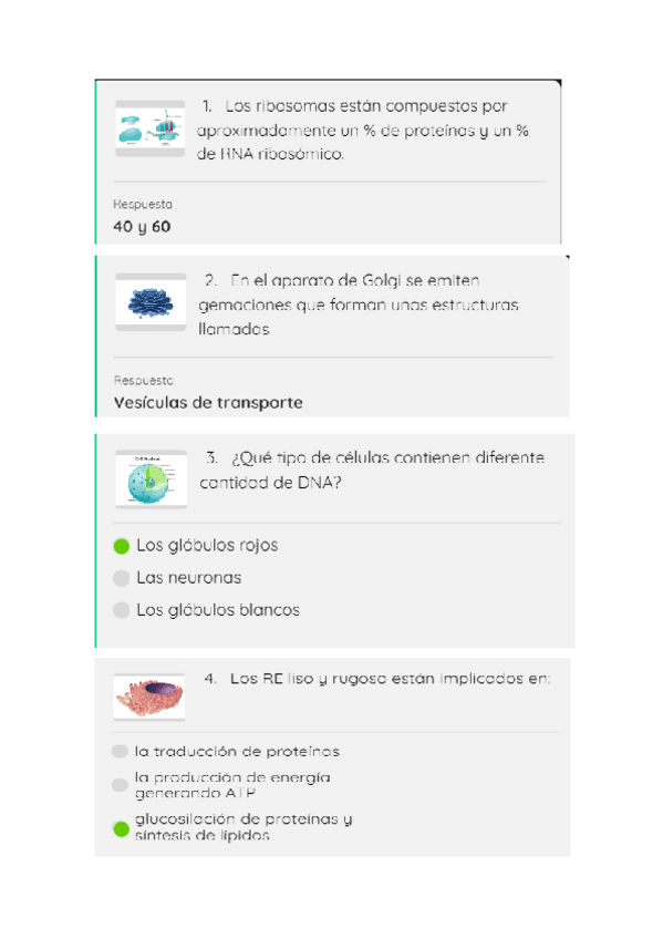 Miniatura del documento Kahoots-Resueltos-Traduccion-de-Proteinas.pdf