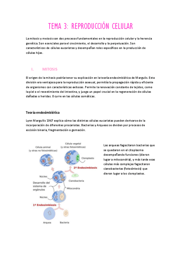 Miniatura del documento Psicobiologia-Tema-3-Reproduccion-celular.pdf