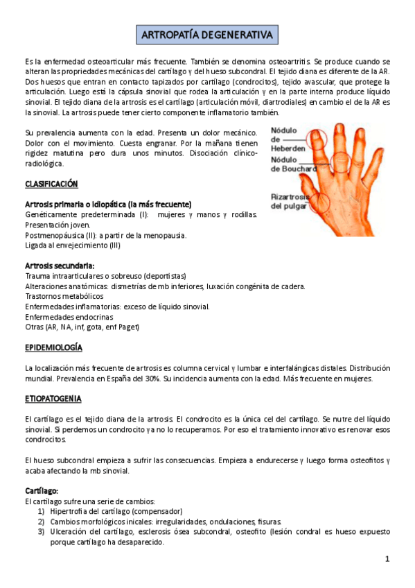 Miniatura del documento 19-y-22.-ARTROSIS-Y-FIBROMIALGIA.pdf
