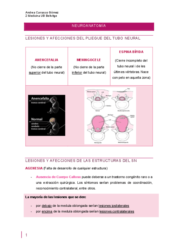 Miniatura del documento AFECCIONES-SN.pdf