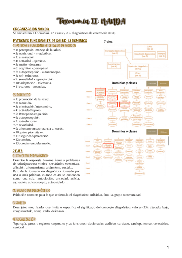 Miniatura del documento Taxonomia-II.-NANDA.pdf