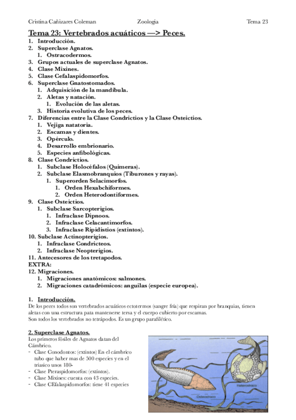 Miniatura del documento Tema-23-Los-peces.pdf