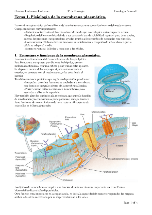 Miniatura del documento Tema-1.pdf