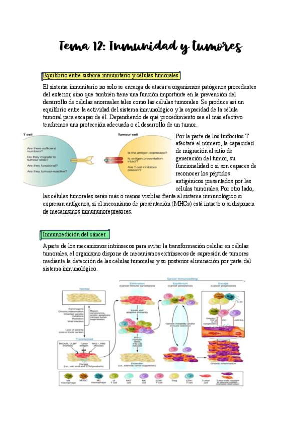Miniatura del documento Tema-12.pdf