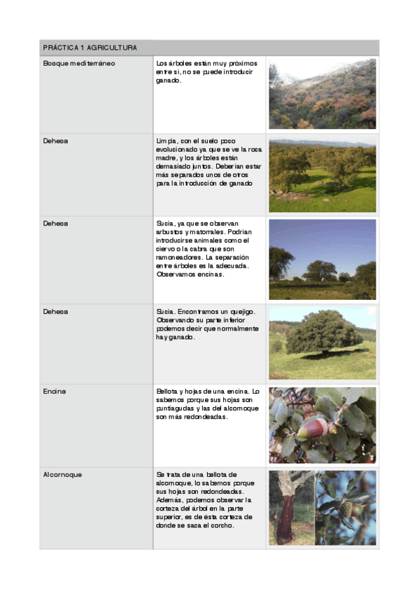 Miniatura del documento PRÁCTICA 1 AGRI.pdf