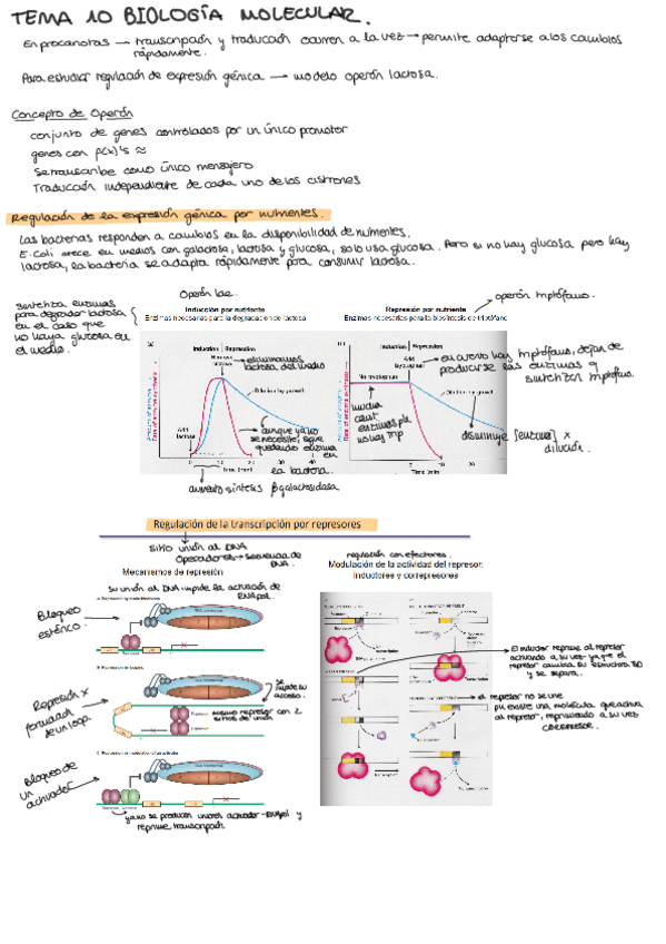 Miniatura del documento tema-10-bio.pdf