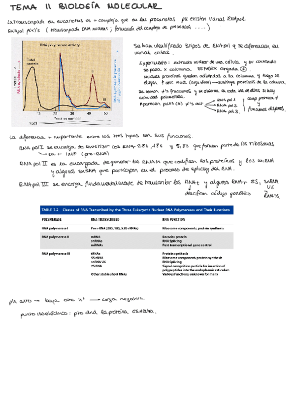 Miniatura del documento tema-11-bio.pdf
