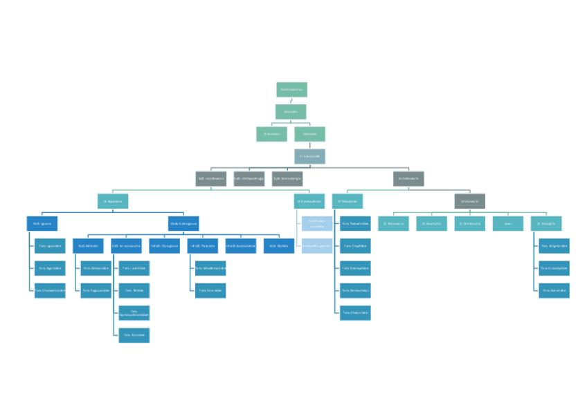 Miniatura del documento CLASIFICACION-REPTILES.pdf