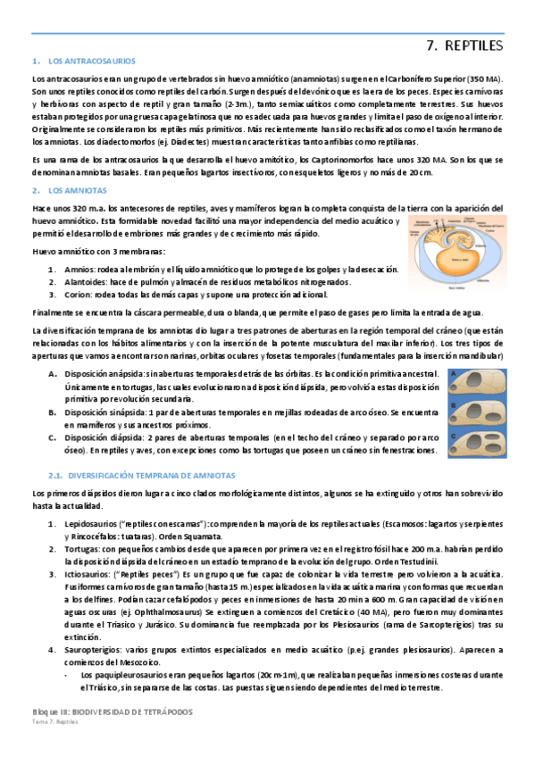 Miniatura del documento Tema-7-REPTILES.pdf