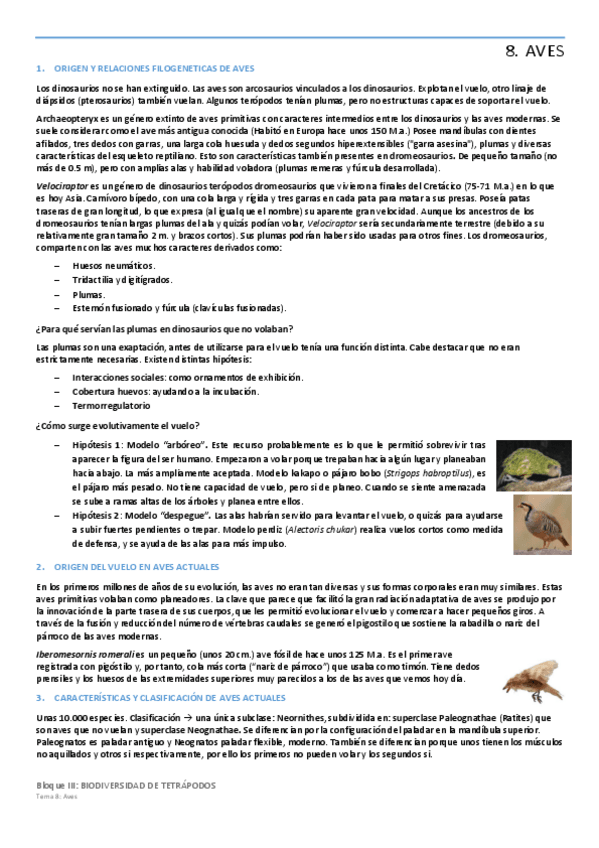 Miniatura del documento Tema-8-AVES.pdf