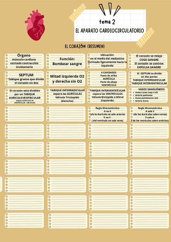 Miniatura del documento Resumen-El-corazon.pdf