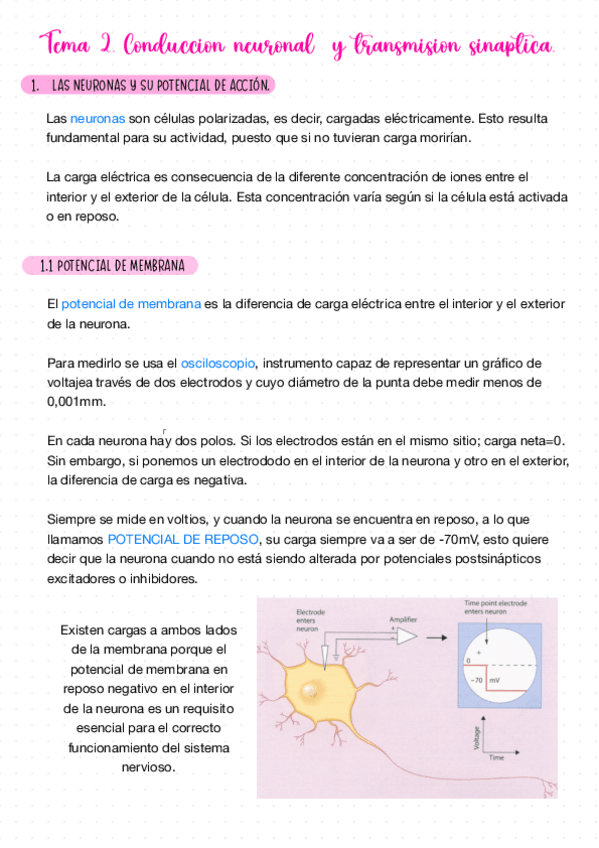 Miniatura del documento Apuntes-Tema-2-Psicobiologia.pdf