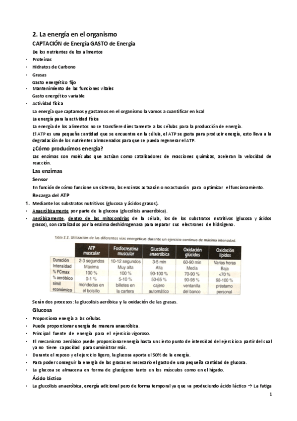 Miniatura del documento 2.-El-metabolismo-energetico.pdf