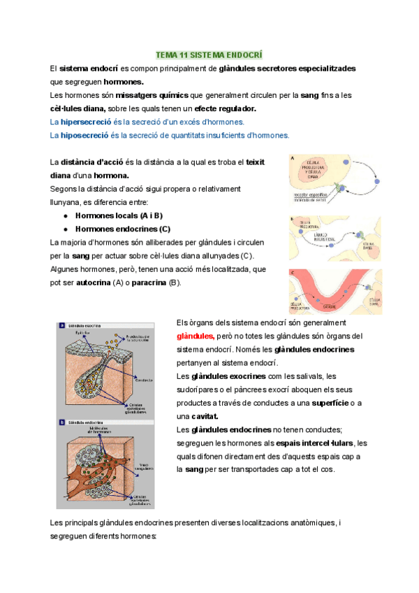 Miniatura del documento TEMA-11-SISTEMA-ENDOCRI.pdf