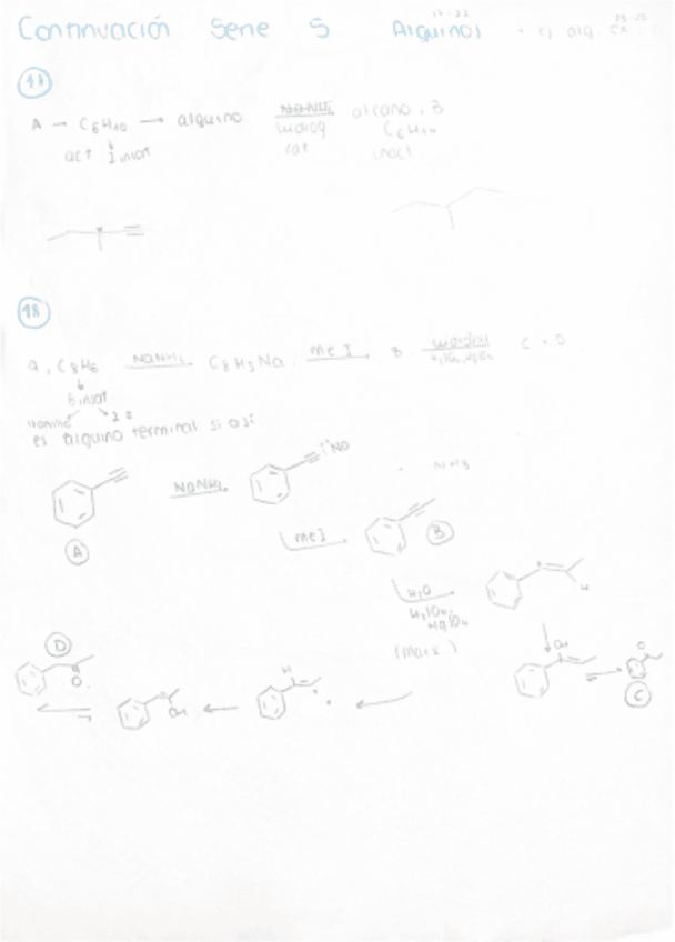 Miniatura del documento SERIE-ALQUINOS.pdf