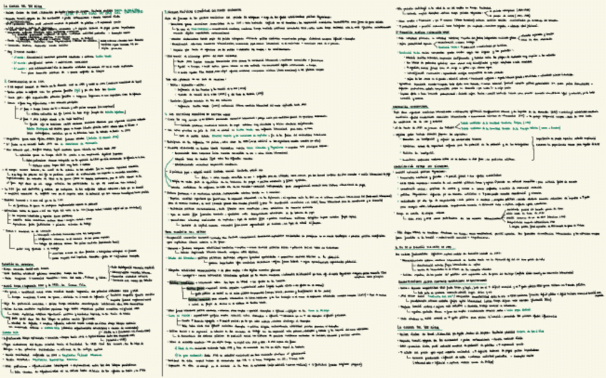 Miniatura del documento Esquema-Tema-7-Y-Ampliacion Tema 8-Historia.pdf