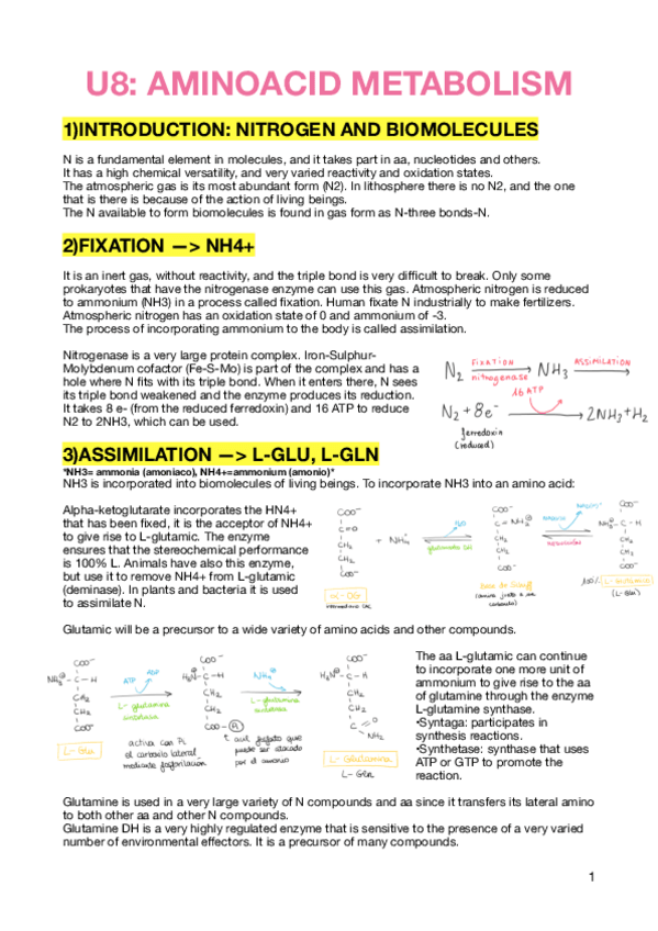 Miniatura del documento Parcial-2.pdf