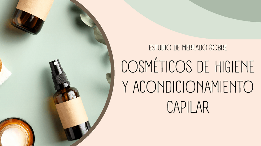 Miniatura del documento Estudio-de-mercado-champus-y-acondicionadores.pdf