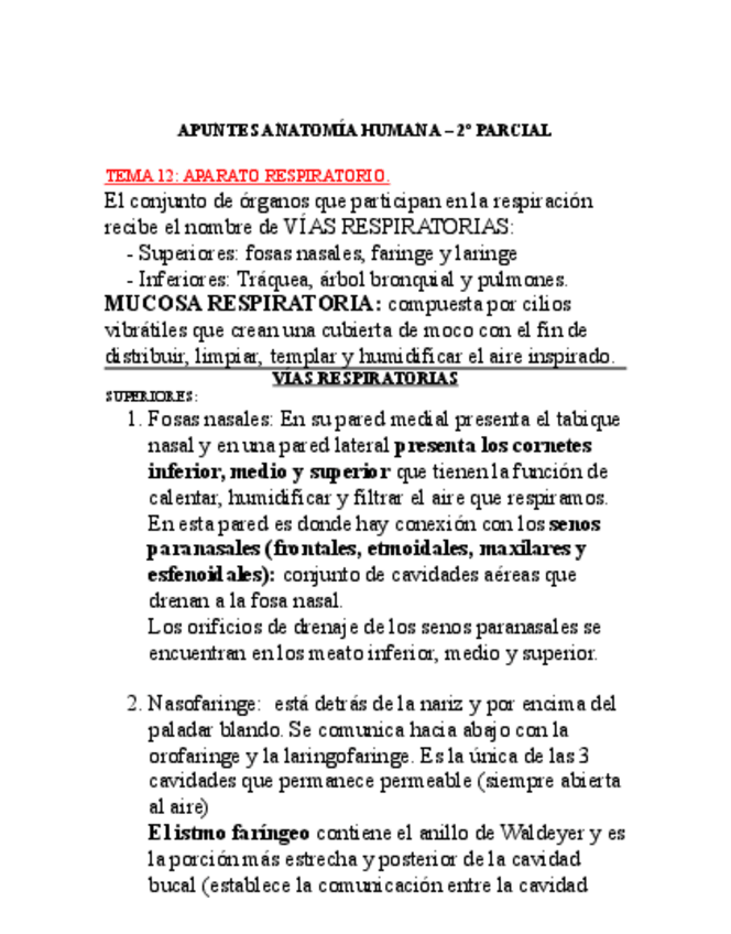 Miniatura del documento apuntes-A.H.-2oP.pdf