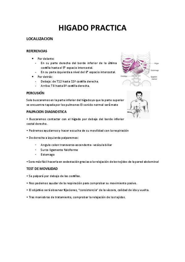 Miniatura del documento HIGADO-PRACTICA.pdf