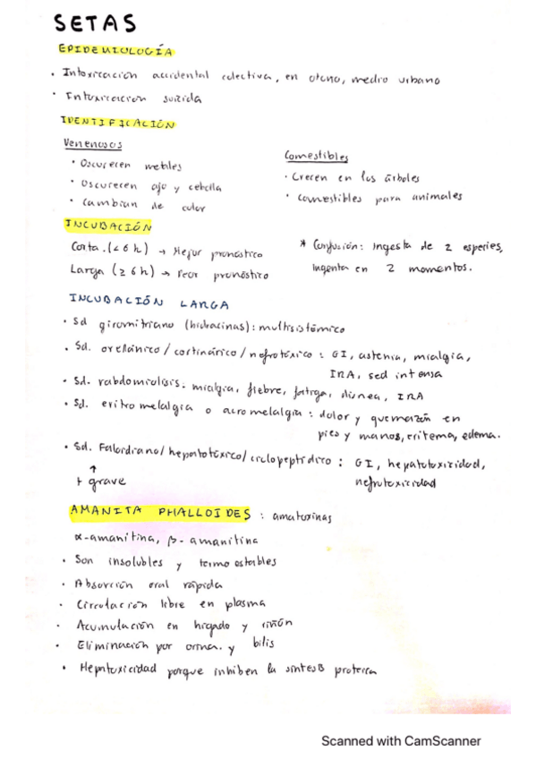 Miniatura del documento Intixicacion-por-setas.pdf