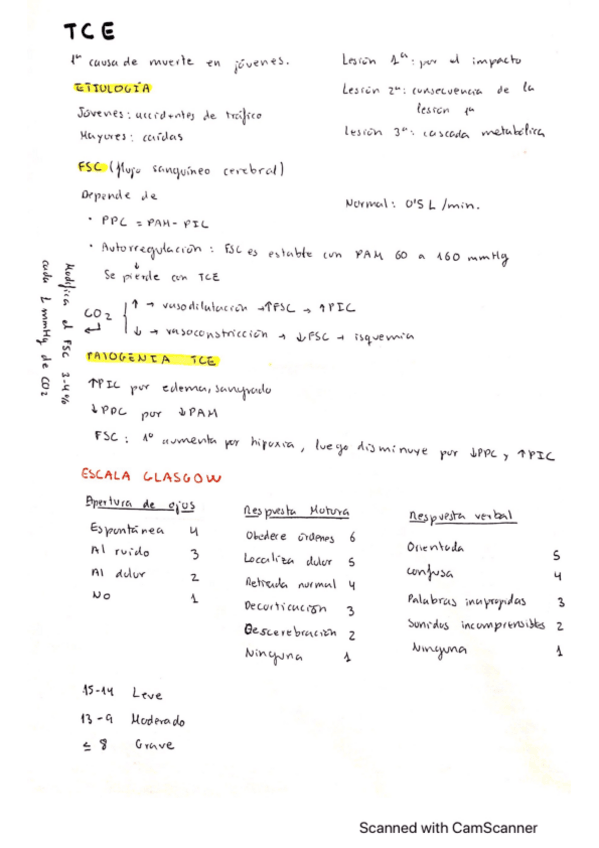 Miniatura del documento TCE.pdf