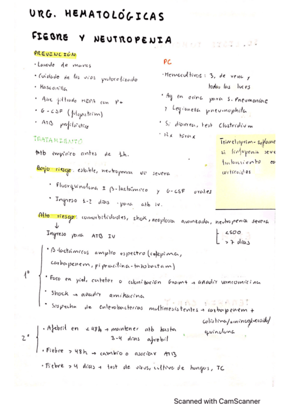 Miniatura del documento Urg-hematologicas.pdf