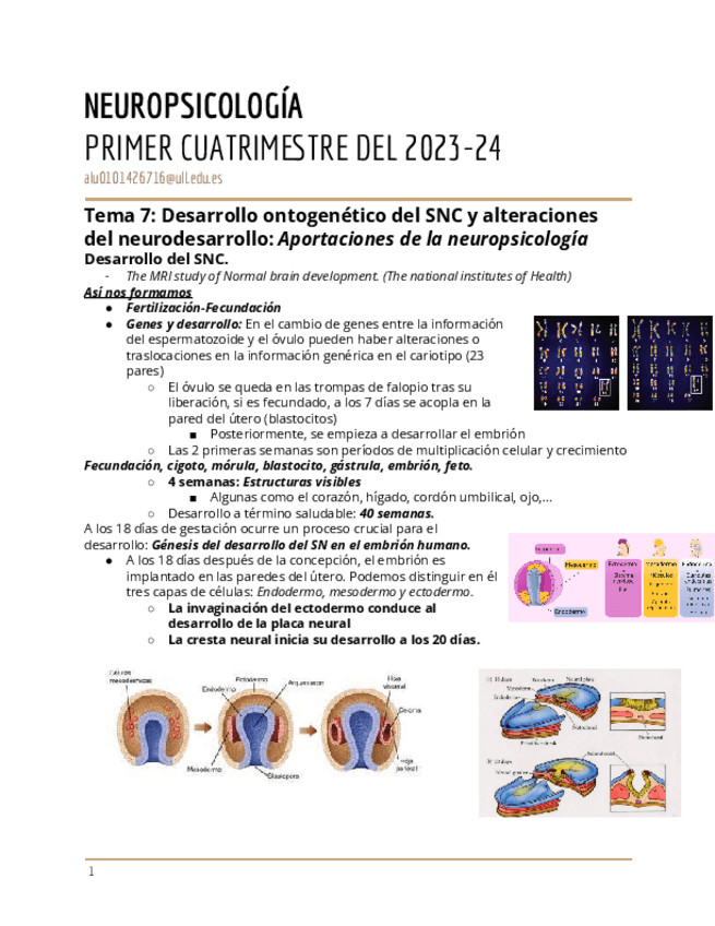 Miniatura del documento Tema-7-Desarrollo-ontogenetico-del-SNC-y-alteraciones-del-neurodesarrollo-Aportaciones-de-la-neuropsicologia.pdf