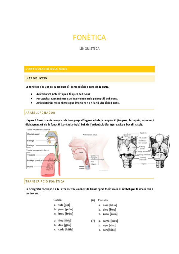 Miniatura del documento Fonetica.pdf