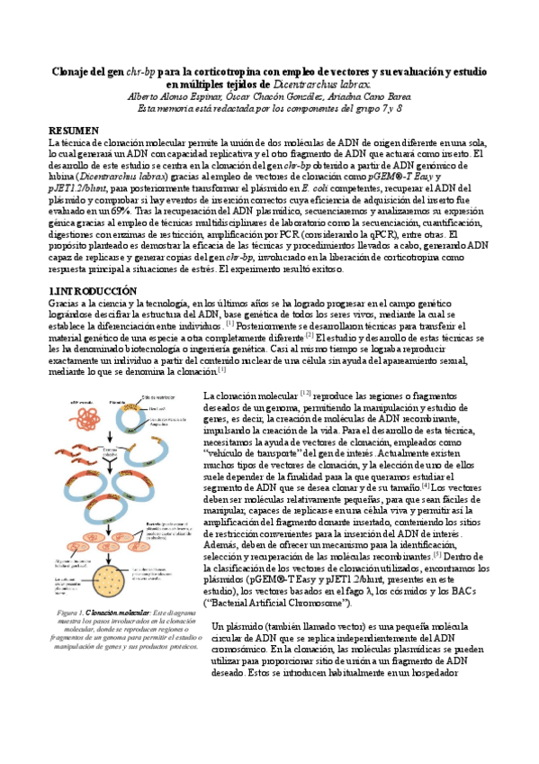 Miniatura del documento MEMORIA-PRACTICAS-B-GRUPOS-7-Y-8.pdf