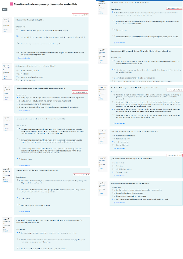 Miniatura del documento Cuestionario-sostenibilidad.pdf