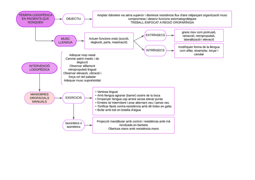Miniatura del documento 13-Terapia-logo-en-pacients-que-roquen.pdf