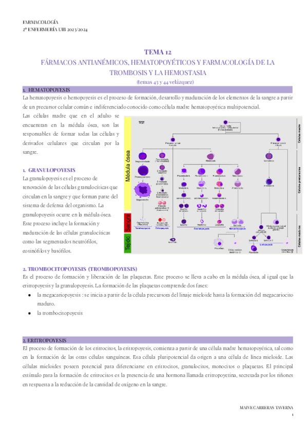 Miniatura del documento TEMA-12-FARMA.pdf