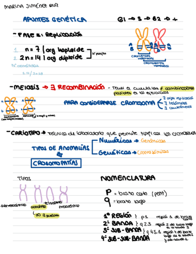 Miniatura del documento APUNTES-SEMINARIOS-GENETICA.pdf