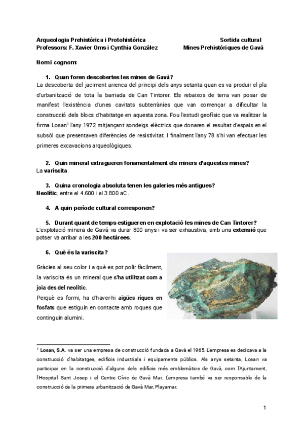 Miniatura del documento Mines-Prehistoriques-de-Gava.pdf