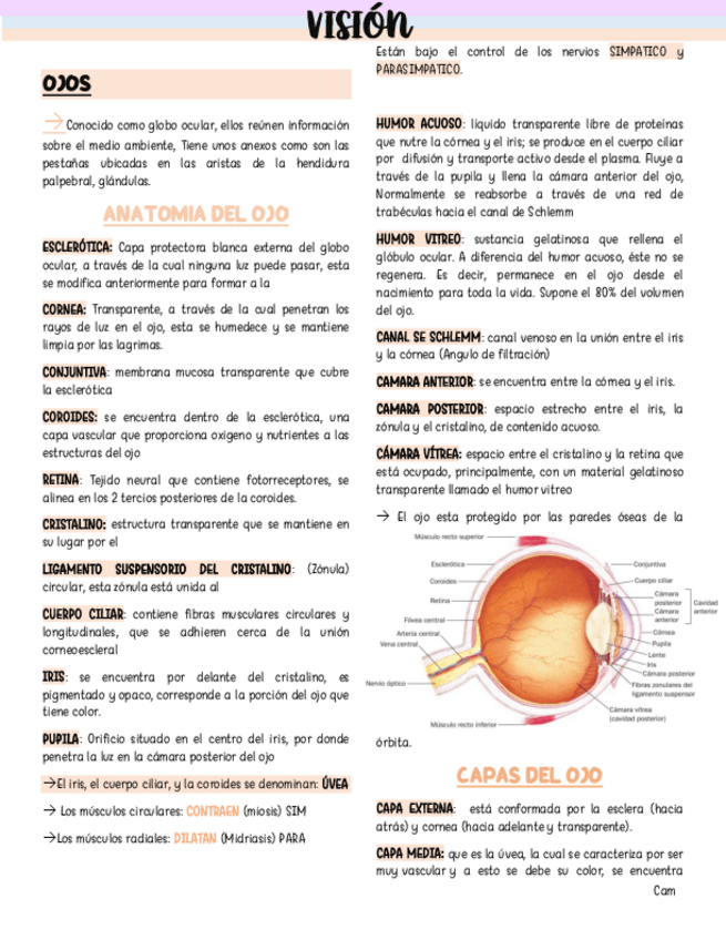 Miniatura del documento VISION.pdf