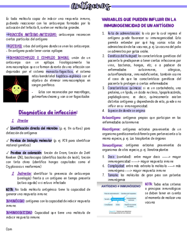 Miniatura del documento ANTIGENOS.pdf