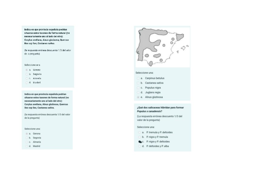 Miniatura del documento botanica-primer-parcial.pdf