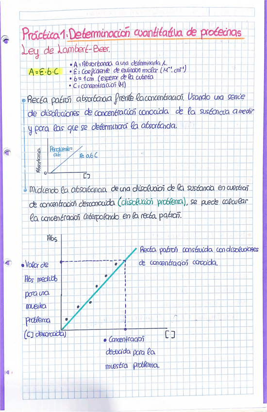 Miniatura del documento Practicas-Bioquimica.pdf
