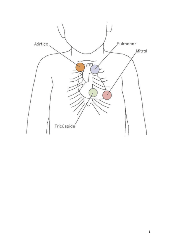 Miniatura del documento Valores-e-imagenes-para-ECOE.pdf