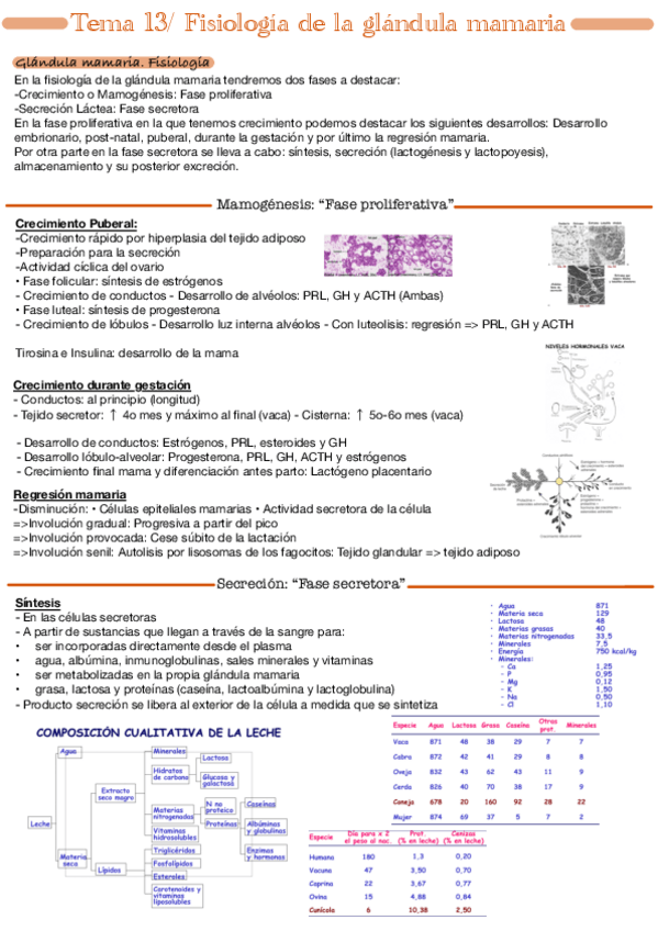 Miniatura del documento Tema-13.pdf