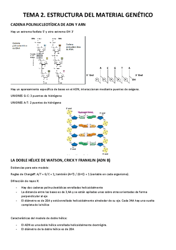 Miniatura del documento TEMA-2.-ESTRUCTURA-DEL-MATERIAL-GENETICO.pdf