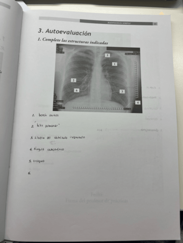 Miniatura del documento Anato-radiologica-III.pdf