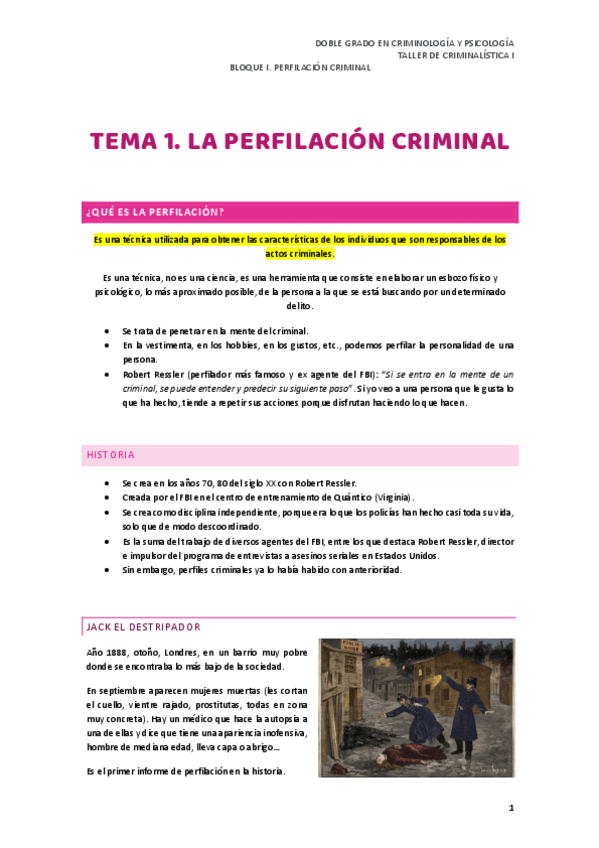 Miniatura del documento BLOQUE-I.-PERFILACION-CRIMINAL.pdf