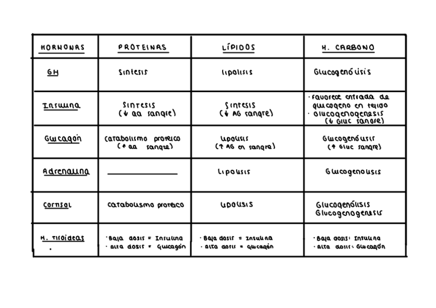 Miniatura del documento Tabla-hormonas-propuesta-en-clase.pdf
